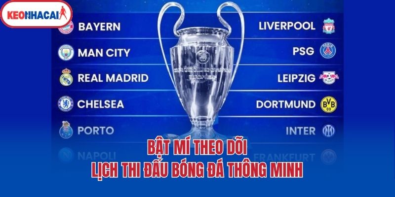 Bật mí theo dõi lịch thi đấu bóng đá thông minh